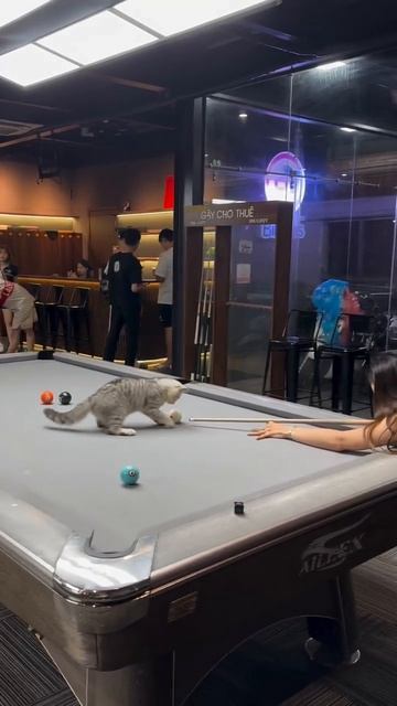 Помощник на бильярде