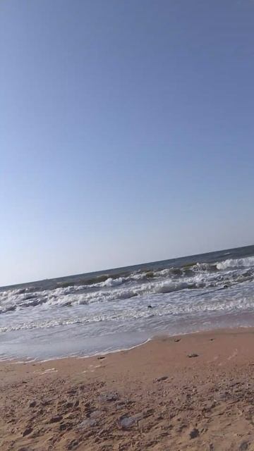 щас плавать буду