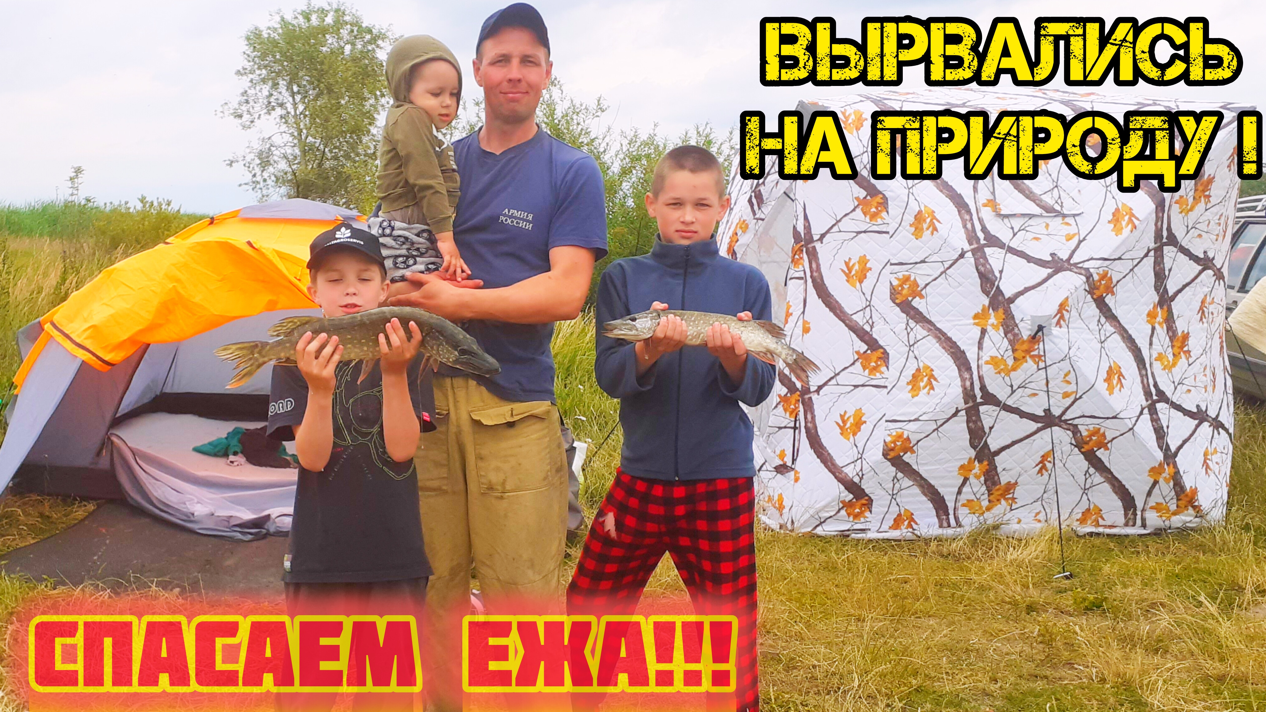 Выбрались на Калининградский залив/спасаем ежа от гибели.