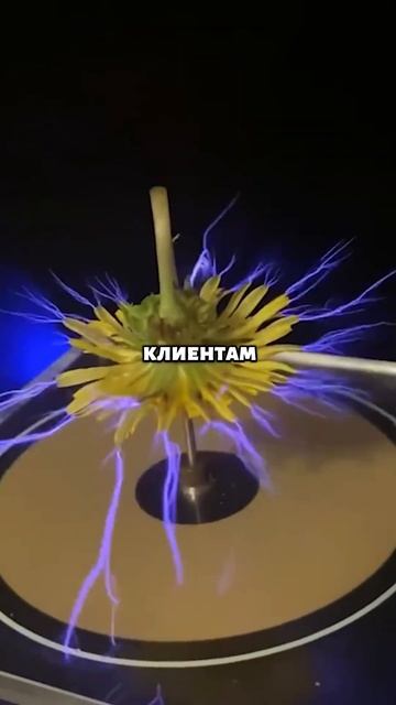 Улучшаем свою кредитную историю