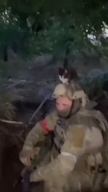 Наши бойцы на дежурстве