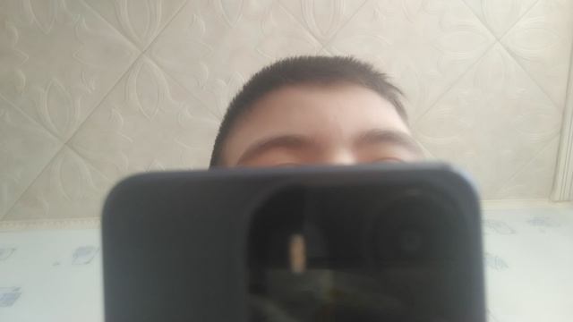 пилот Олег и его странная семейка 2014