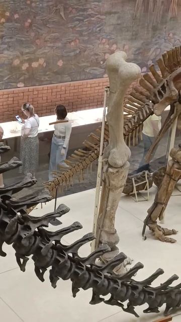 Музей динозавров #динозавры #динопарк