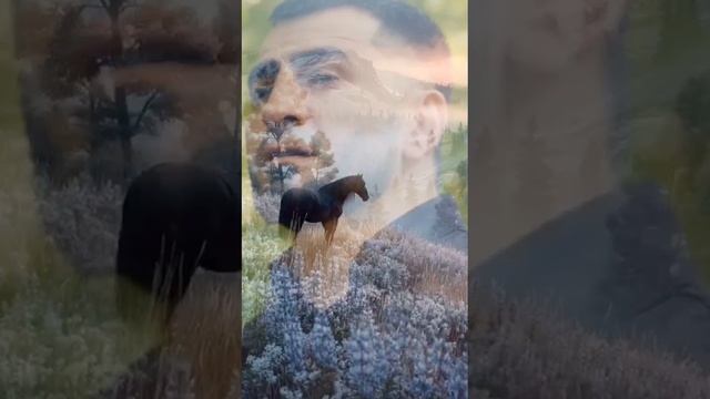 Прости красивый