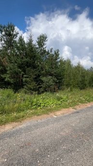 Продается участок 10 соток с собственным лесом и небольшим фундаментом в черте г. Александров,