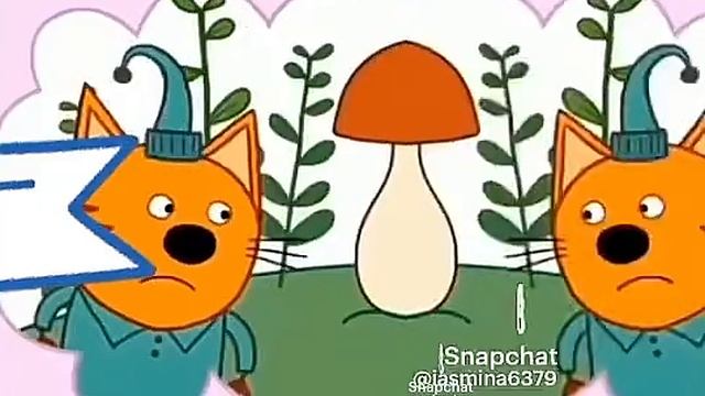 😹😹😹😹😹😹