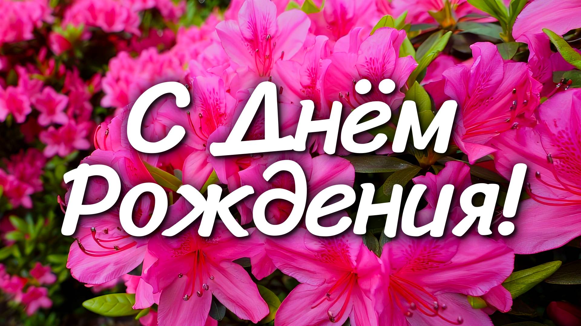 🎉 Поздравление с Днём Рождения 🎂 Красивое поздравление для любимых людей 💖