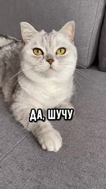 подпишитесь канала 👆👆👆👆😁😁😁😁