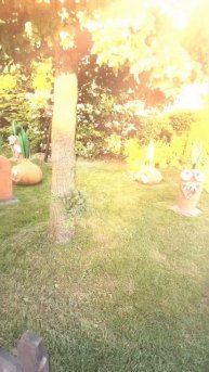 Чупакабра желает тебе добра #доброеутро #позитив