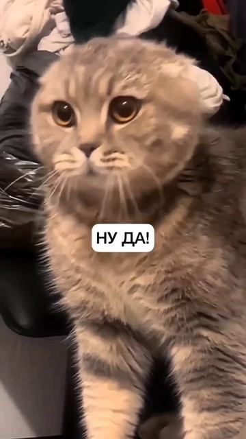 подпишитесь канала 👆👆👆👆😁😁😁😁