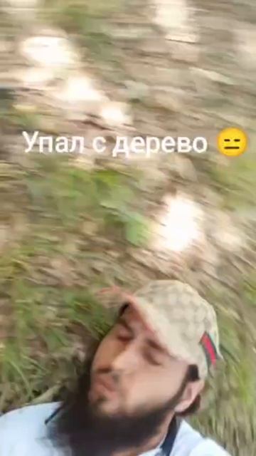 Упал с дерева