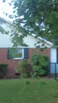 Обзор засыхающего огорода. результаты к концу июля.