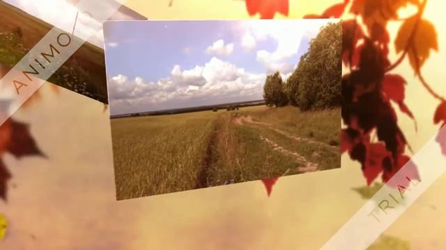 Большая жизнь