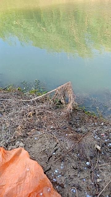 К тебе лезит прям