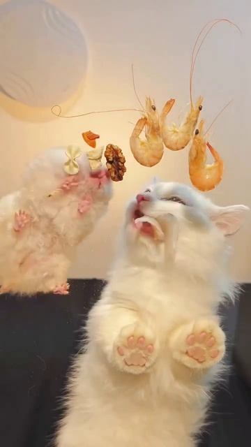 Жадно кушаем