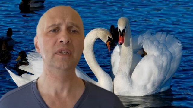 1000042570.mp4