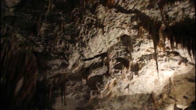 Словения. Экскурсия в пещеру Постойнска-Яма.