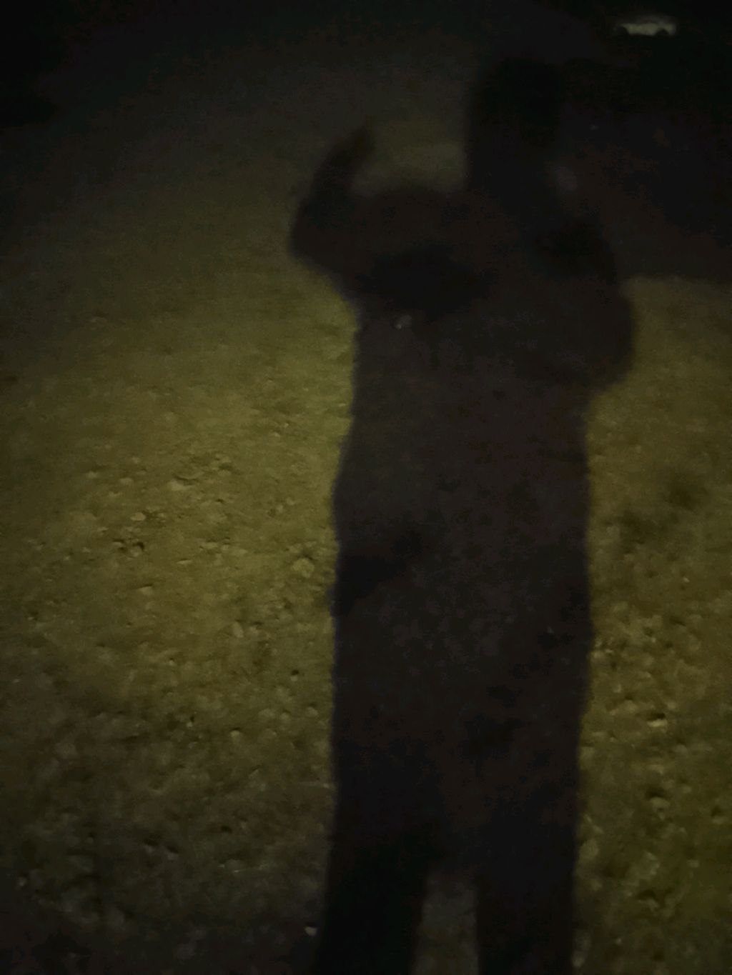 идём в гости 2