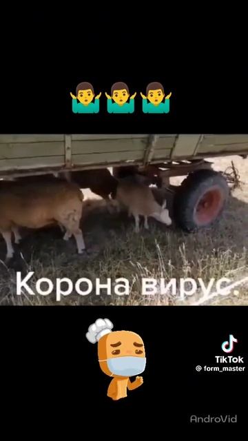 самое слабое звено