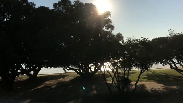 №09  На острове Майорка хорошая осень. (серия путешествуем по ЕВРОПЕ). №09 (7)