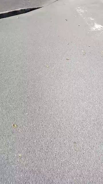Scene_output.mp4