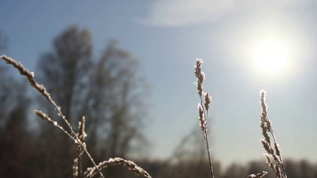 Новососедово. Зима.Краски солнца.