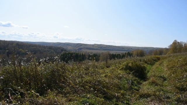 Новососедово. Операция_ Осень (26.09.2019г.)