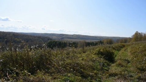 Новососедово. Операция_ Осень (26.09.2019г.)