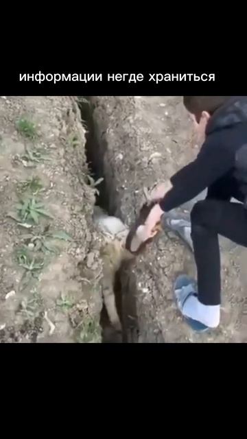 Это лучше знать заранее #нумеролог #нумерология