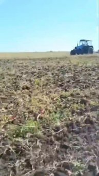 Чудо маскировки: зайчонок притаился #hunting