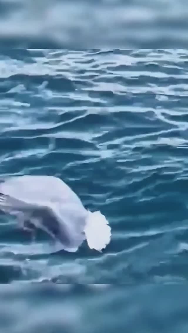 Проверь Интуицию.