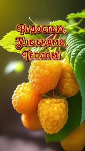 29-07-2025 доброе утро