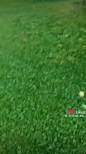 Для лайка - 2089