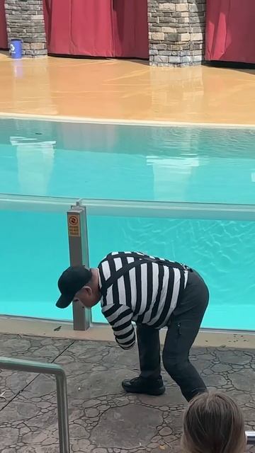 Tom Mime Seaworld Glove Prank Fail 🤣 #seaworldmime