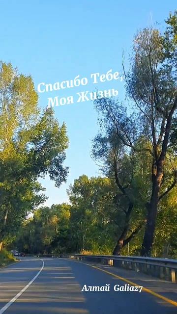 Спасибо Тебе, Моя Жизнь...