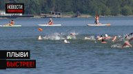 Традиционный заплыв «Сенежская миля» состоялся в Солнечногорске