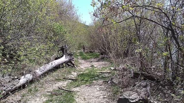 ПУТЬ К ИСЦЕЛЕНИЮ (Ясон Феникс)