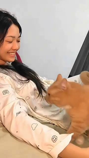 Кошки спят с людьми