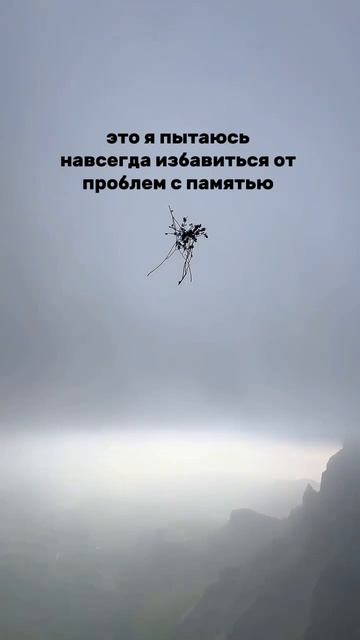 ежедневник "жизнь прекрасна" 
435656293   Wildberries
2207660268 Ozon