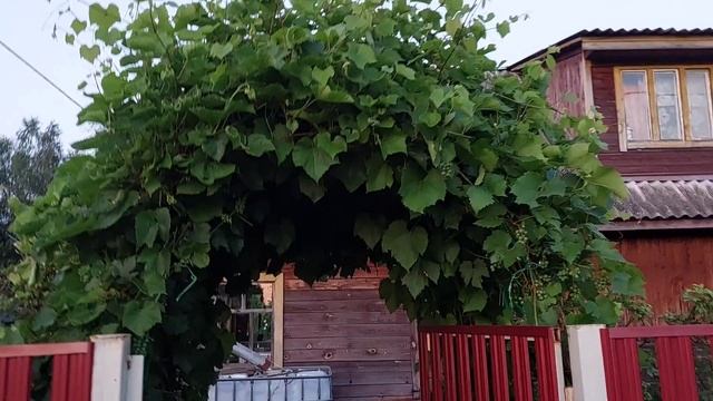Упахалась... Городское озеро