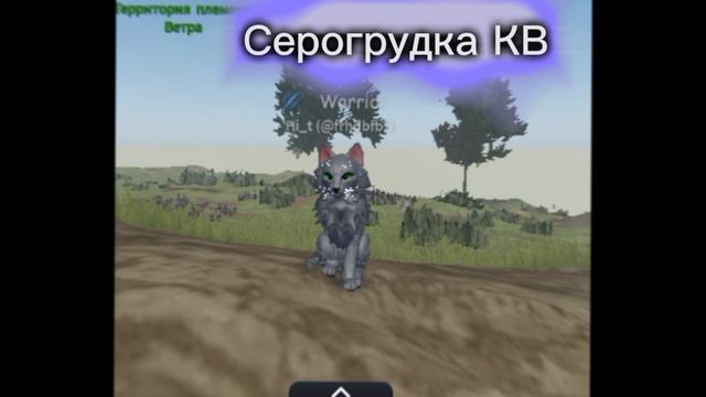 как вам застава 🖤?