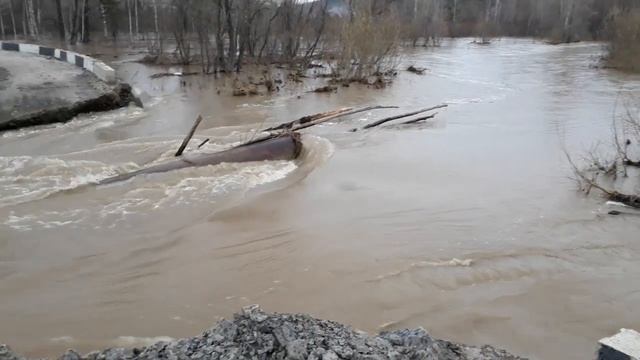 Новососедово. Разлив с 28 по 29.04.21г