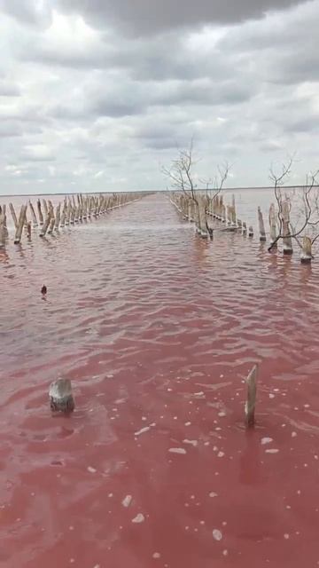 Розовое озеро