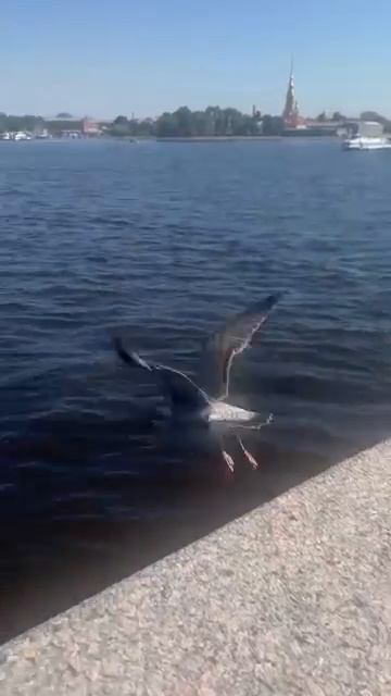 Днем в Питере #мояистория