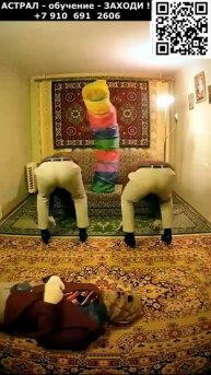 Придурки из Европы. ИИ. Арт нейросеть фэнтези #реальность #придурки #европа #фэнтези #ИИ #нейросеть