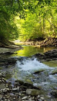 река Тхаб в Краснодарском крае #плесецкие #туризм #поход