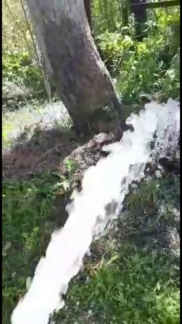 Чистка колодца