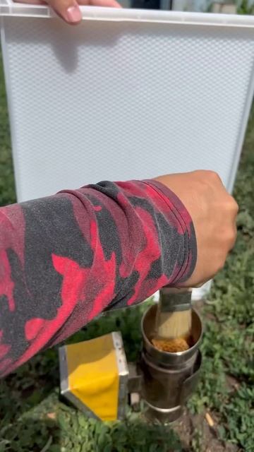 Как нанести воск на пластиковую рамку — просто и быстро! #bee