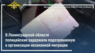 В Ленинградской области полицейские задержали подозреваемую в организации незаконной миграции