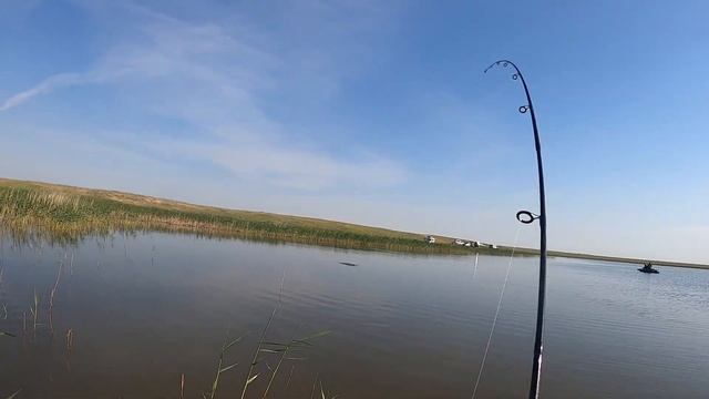 Щучий БЕСПРЕДЕЛ! Жор с первой проводки!